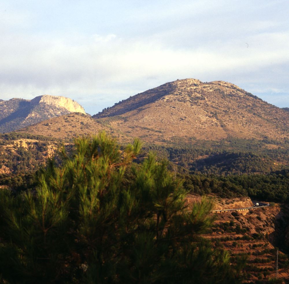 Peña Rubia y Cerro Gordo